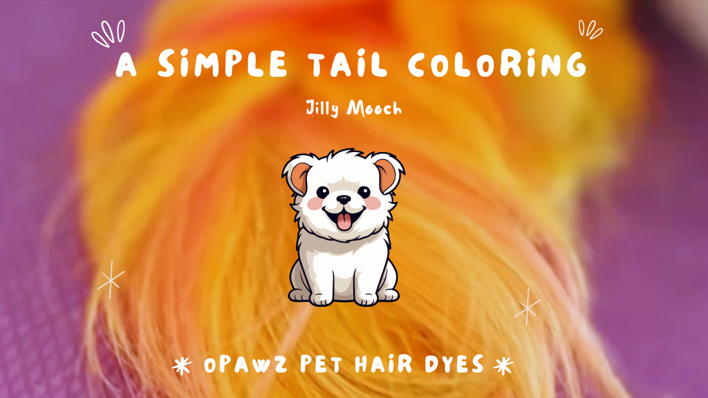 Vibrant Tail Creative Dog Grooming: A Simple Tutorial with Jilly Mooch and OPAWZ Pet Hair Dyes