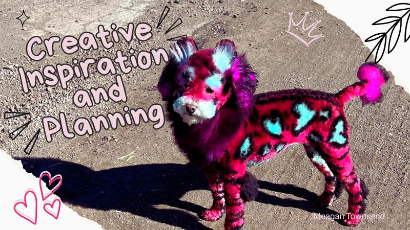 Creative Inspiration and Planning for Creative Grooming