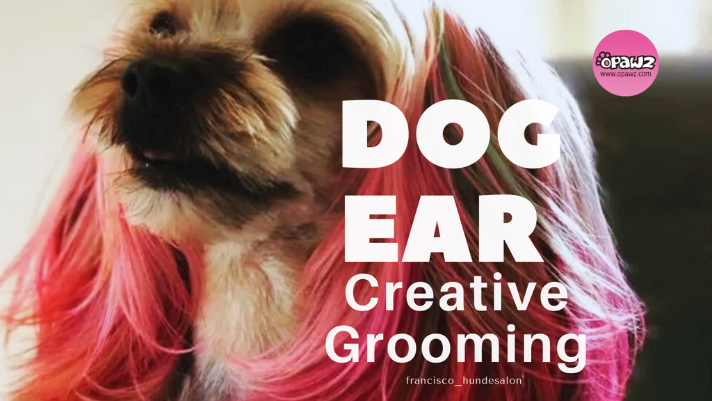 Easy Dog Ear Coloring with OPAWZ Pet Safe Dog Hair Dyes