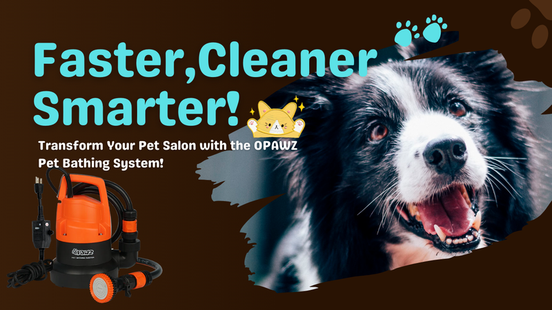 Why the OPAWZ Pet Bathing System is a Game-Changer for Professional Pet Salons