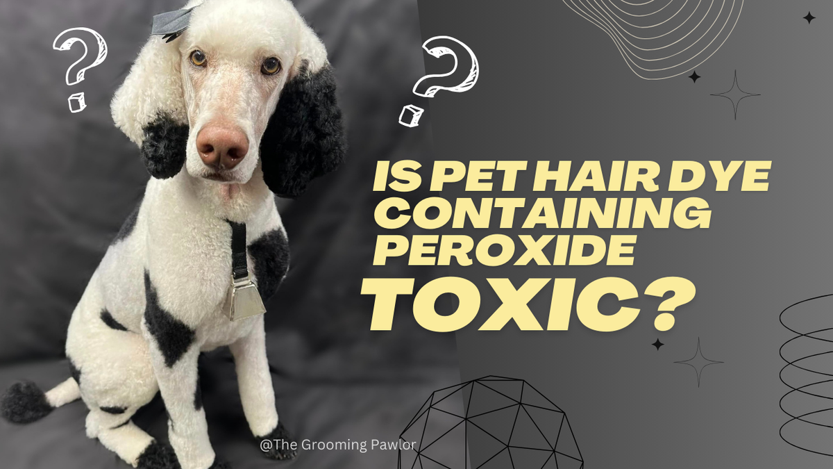 Is Pet Hair Dye Containing Peroxide Toxic? – OPAWZ