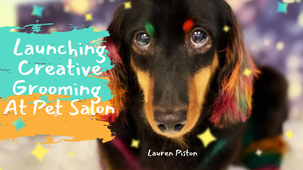 Launching Creative Dog Grooming At Your Pet Salon