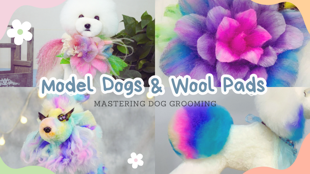 Mastering Dog Grooming with OPAWZ Model Dogs & Wool Pads