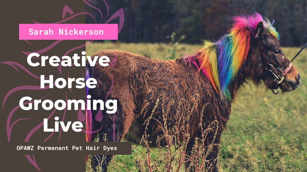 Creative Horse Grooming Live Tutorial By Sarah Nickerson | OPAWZ