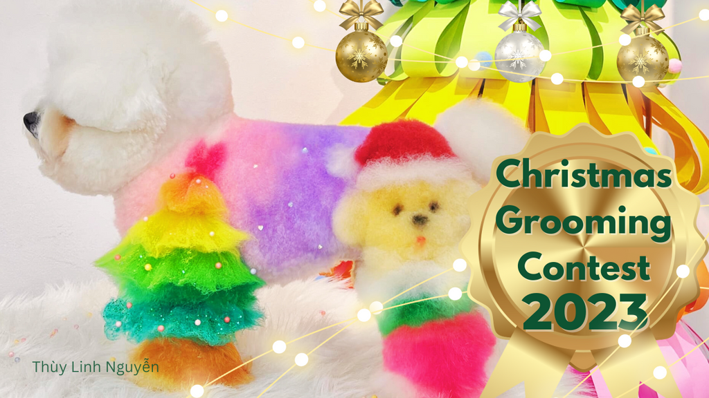 Christmas Dog Grooming Contest 2023