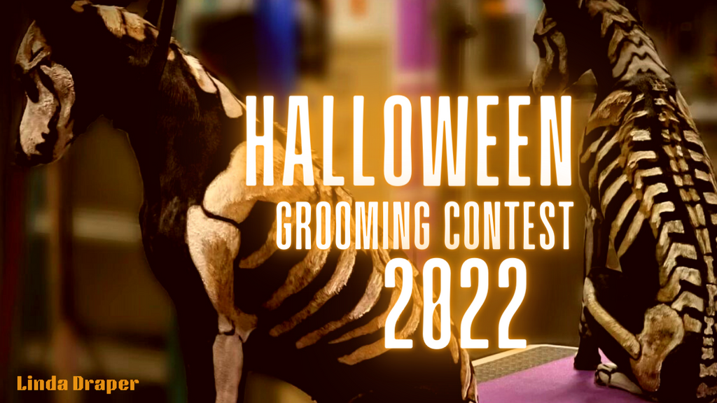 Halloween Grooming Contest 2022 | OPAWZ Creative Grooming