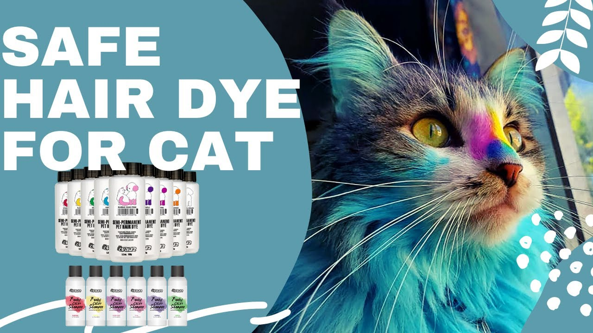 Cat hair dye deals