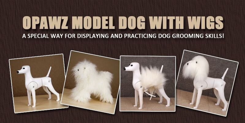 picture of 4 model dog grooming mannequins