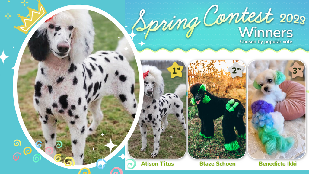 OPAWZ Spring Creative Dog Grooming Contest 2023