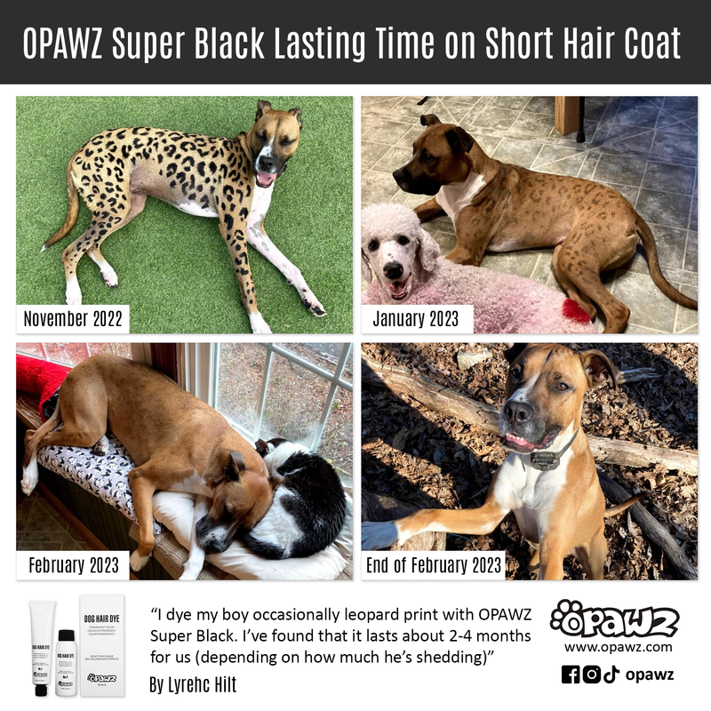 Dog Hair Dye - Super Black (PD12)