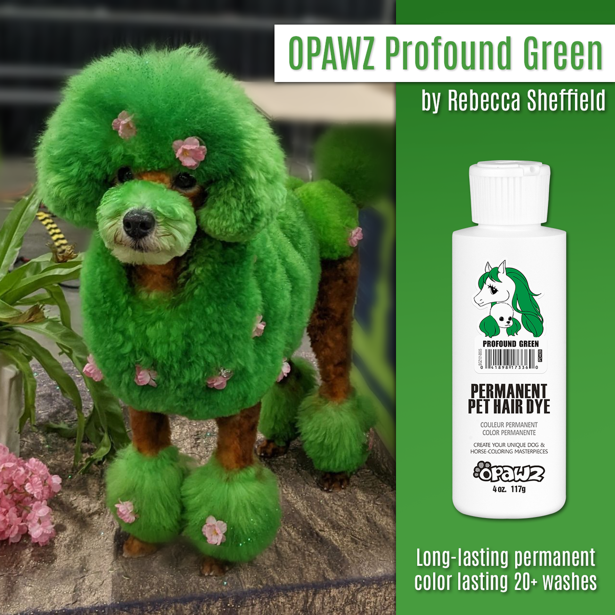 Teinture pour poils de chien - Vert profond (PD09)