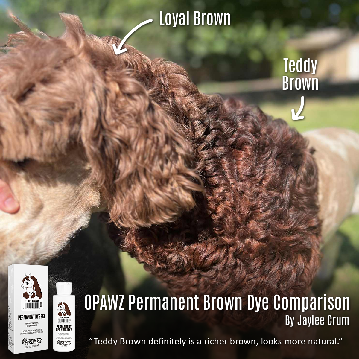 Testeur de teinture permanente Teddy Brown 4oz