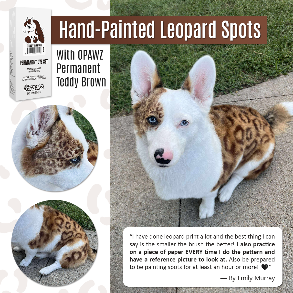 Testeur de teinture permanente Teddy Brown 4oz