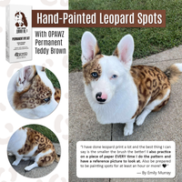 Testeur de teinture permanente Teddy Brown 4oz