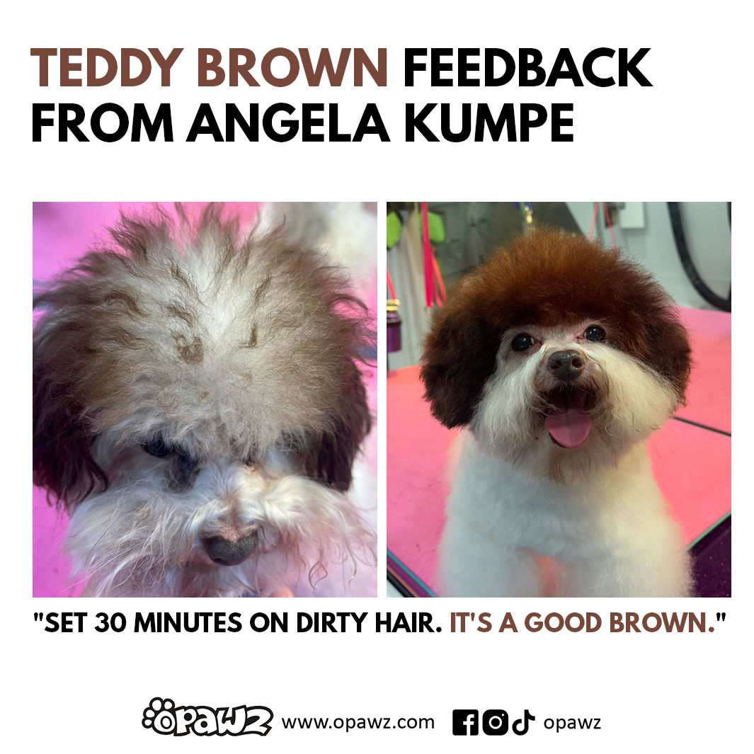 BUY 3 GET 1 FREE - Teddy Brown (VP67)