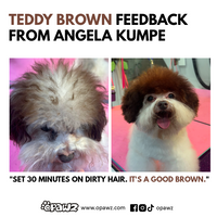 BUY 3 GET 1 FREE - Teddy Brown (VP67)