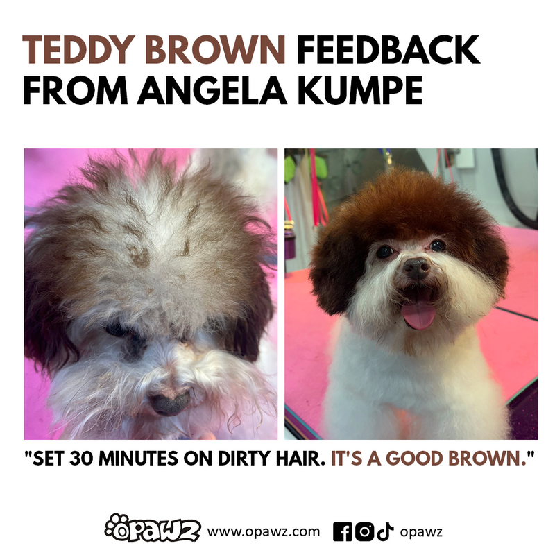 Dog Hair Dye - Teddy Brown (PD30)