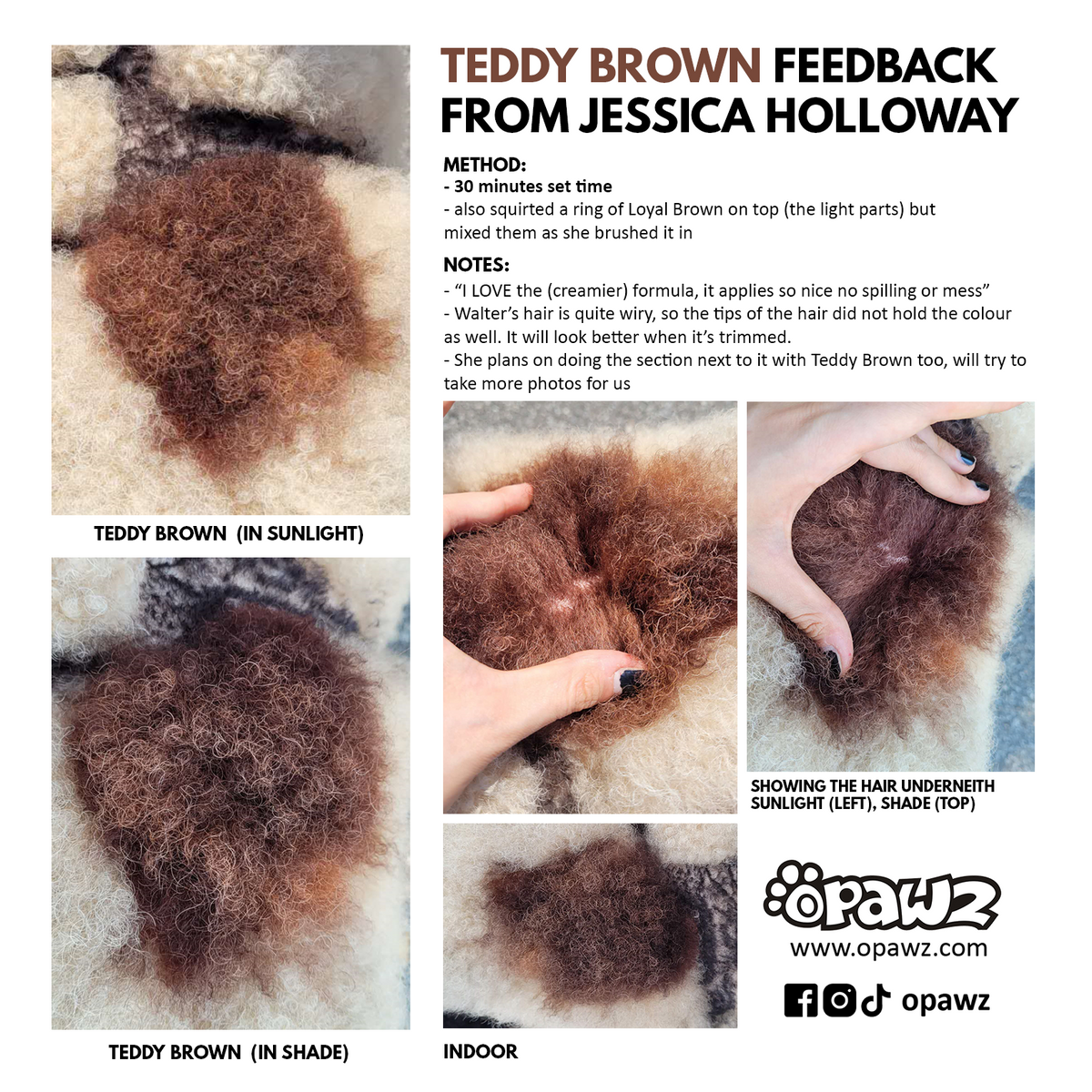 BUY 3 GET 1 FREE - Teddy Brown (VP67)