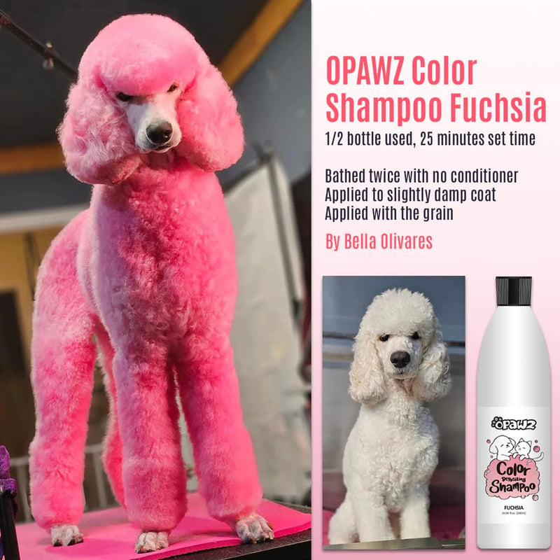 Color Shampoo 7pcs Value Pack (VP39)
