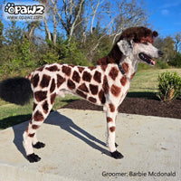 Testeur de teinture permanente Teddy Brown 4oz