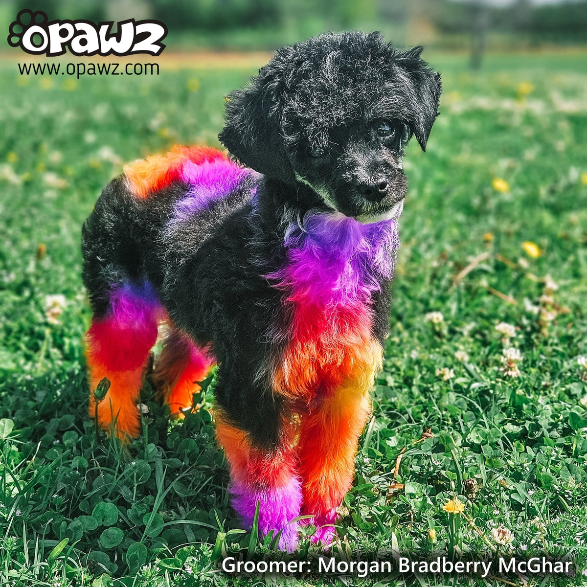 Pack économique Couleurs coucher de soleil (VP61)