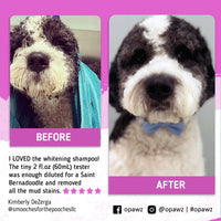 OPAWZ 05 Whitening Shampoo