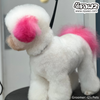 Dog Hair Dye - Adrian Pink (PD22)
