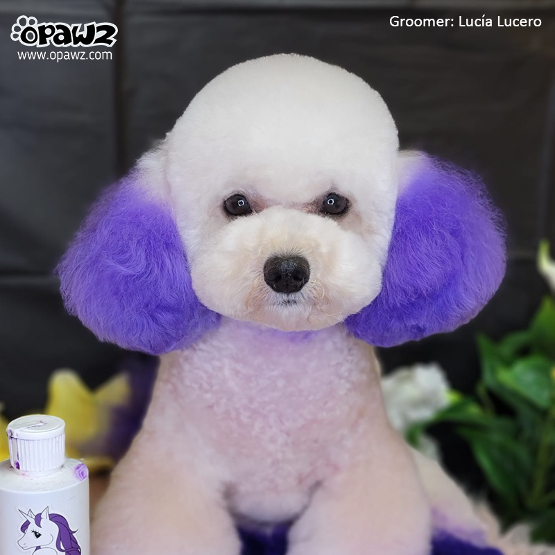 OPAWZ Permanent Pet Hair Dye 4 oz Chic Violet