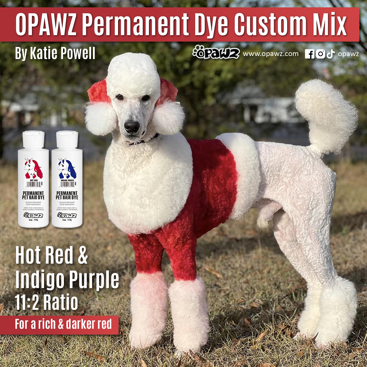 Teinture pour poils de chien - Rouge vif (PD01)