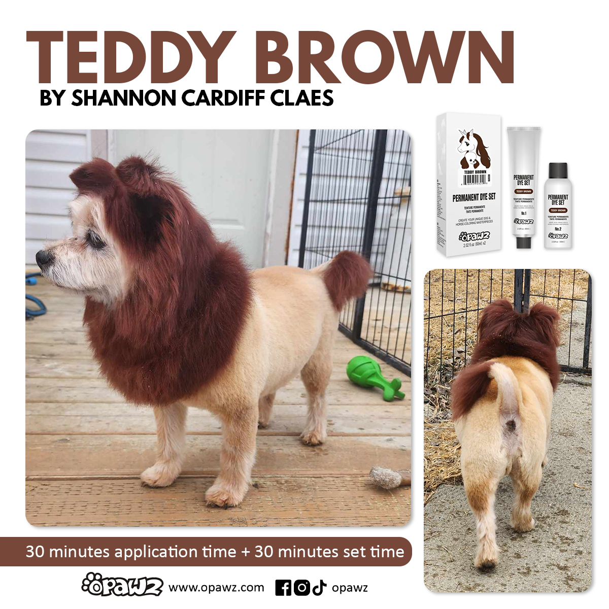 BUY 3 GET 1 FREE - Teddy Brown (VP67)