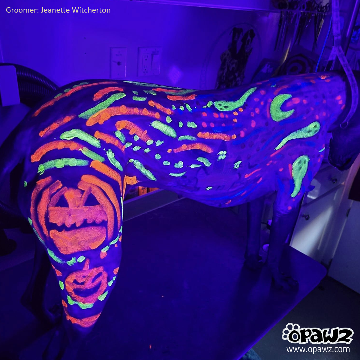 Color Paste - Green (TP04)