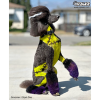 Teinture pour poils de chien Vert tendre (PD10)