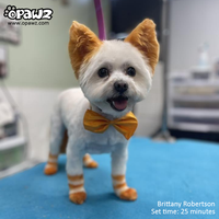 Teinture pour poils de chien - Cuivre vital (PD26)