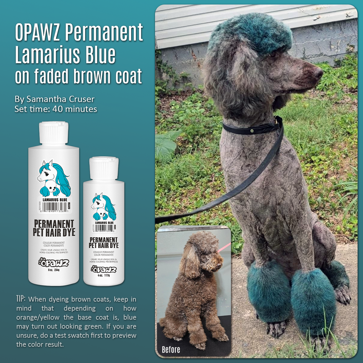 Teinture pour poils de chien - Bleu Lamarius (PD27)