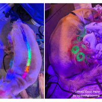 Color Paste - Green (TP04)