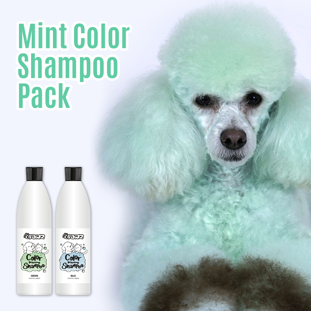 Mint Color Shampoo Pack (VP65) – OPAWZ