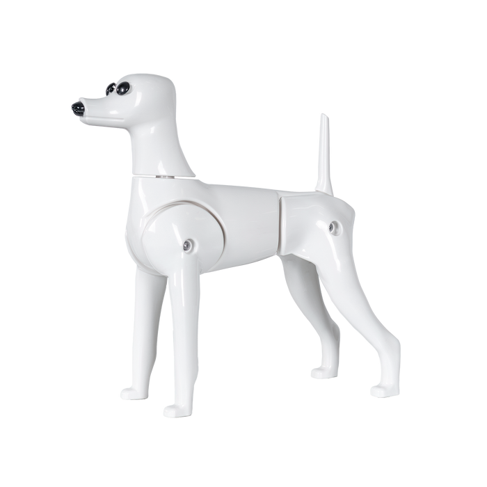 Perro modelo Caniche Toy (MD01)