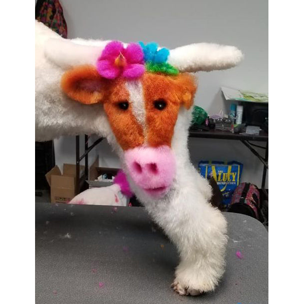 Teinture pour poils de chien - Cuivre vital (PD26)