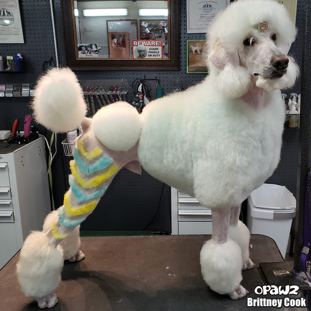 Stylo à peinture OPAWZ - Bleu