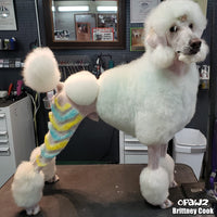 Stylo à peinture OPAWZ - Jaune