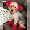 Dog Hair Dye - Hot Red (PD01)