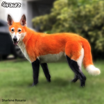 Dog Hair Dye - Ardent Orange (PD02)