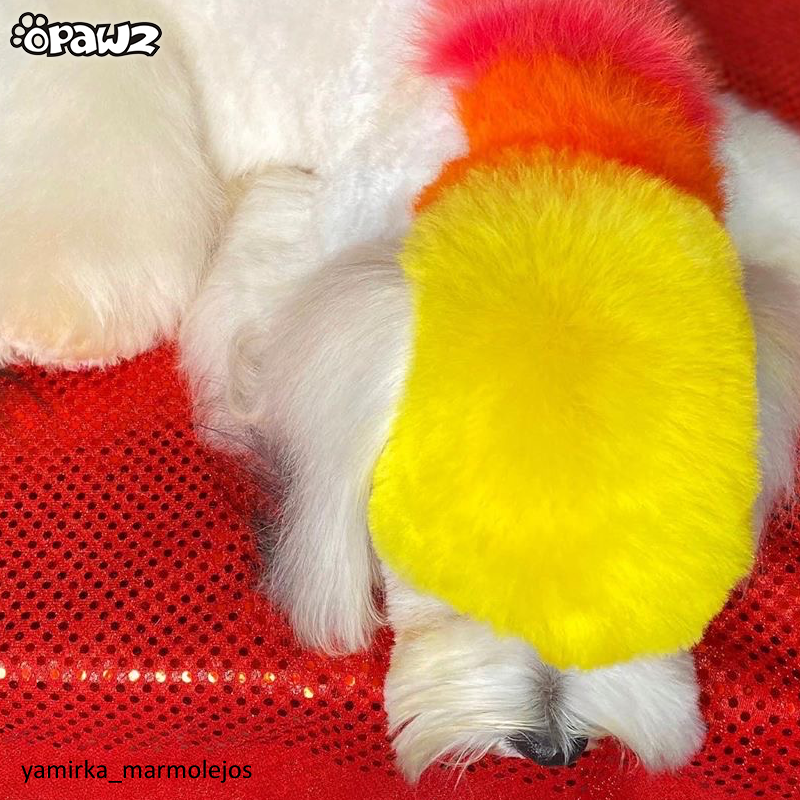 Dog Hair Dye - Glorious Yellow (PD04)