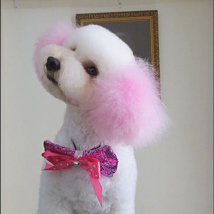 Dog Hair Dye - Adorable Pink (PD03) – OPAWZ Canada