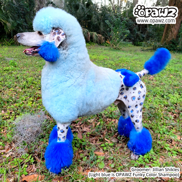 Dog Hair Dye - Cobalt Blue (PD11)