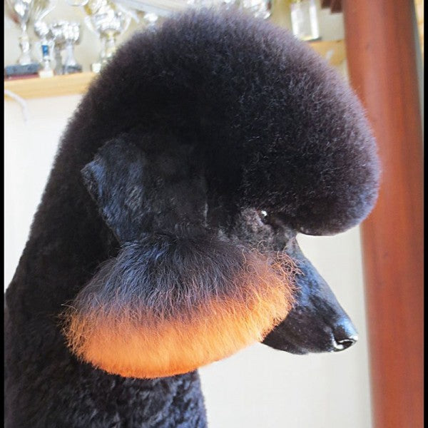 Tiza para pelo de mascotas-naranja (TC03)