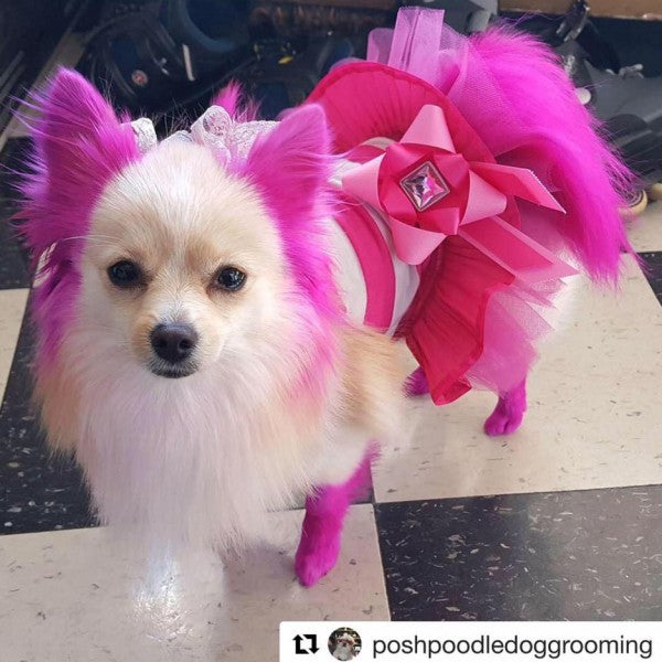 Dog Hair Dye - Adorable Pink (PD03)