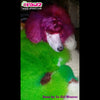 Dog Hair Dye - Profound Green (PD09)