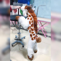 Teinture pour poils de chien - Cuivre vital (PD26)