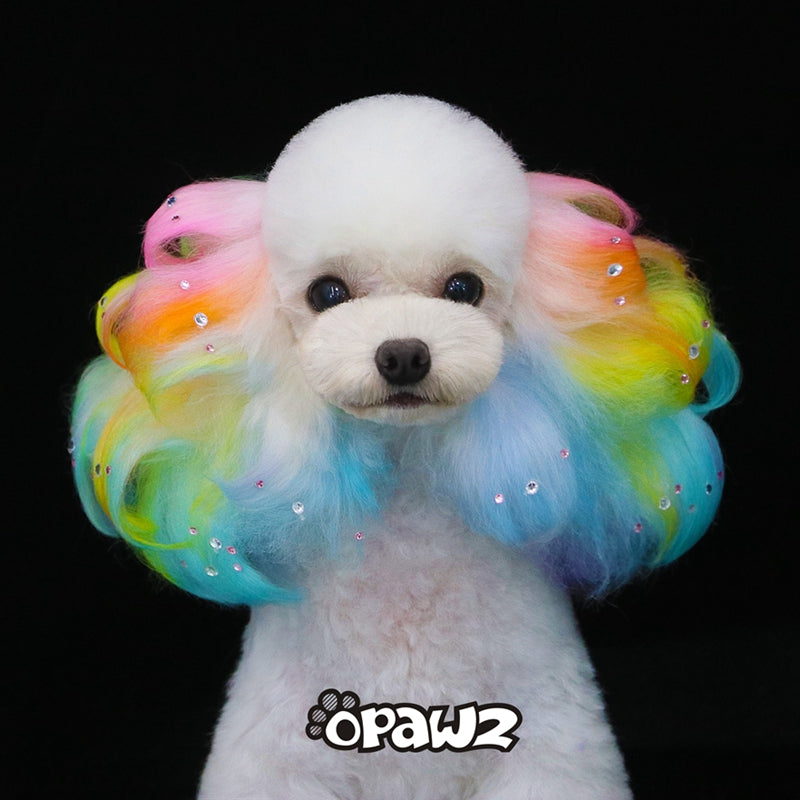 Dog hair coloring near me shop